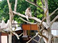 Článek: Přírodovědná exkurze Zoopark Chomutov